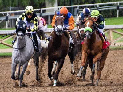 Les plus joues : Sur quel cheval parier pour gagner de l’argent ?