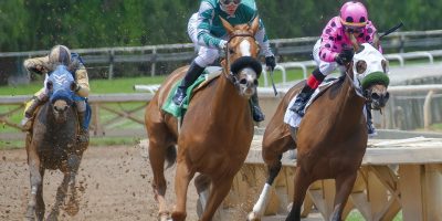Faire un bon pronostic et gagner de l’argent avec un calculateur double chance