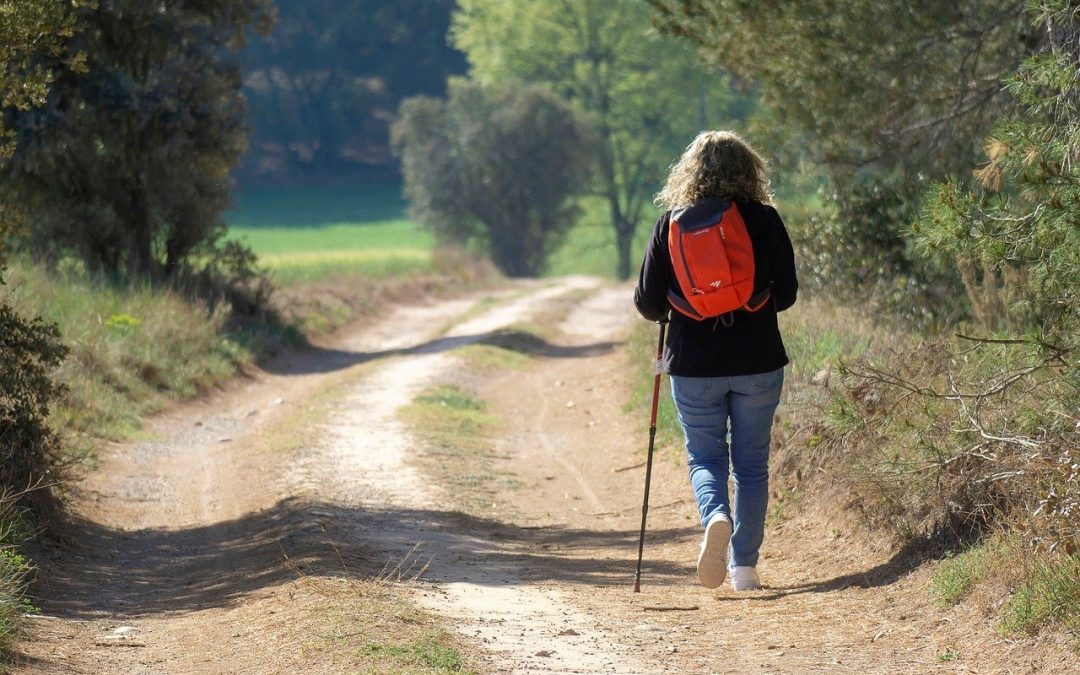 Conseils pour marcher plus souvent, même en vacances