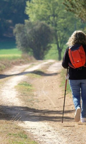 Conseils pour marcher plus souvent, même en vacances